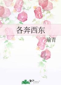 冷知识分享平台-冬天采暖时,壁挂炉的烟管里有水往外滴,还会结冰是怎么回事?,独家揭秘惊人真相!